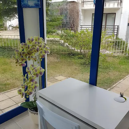 Riviera Complex 6 * Szveti Vlasz
